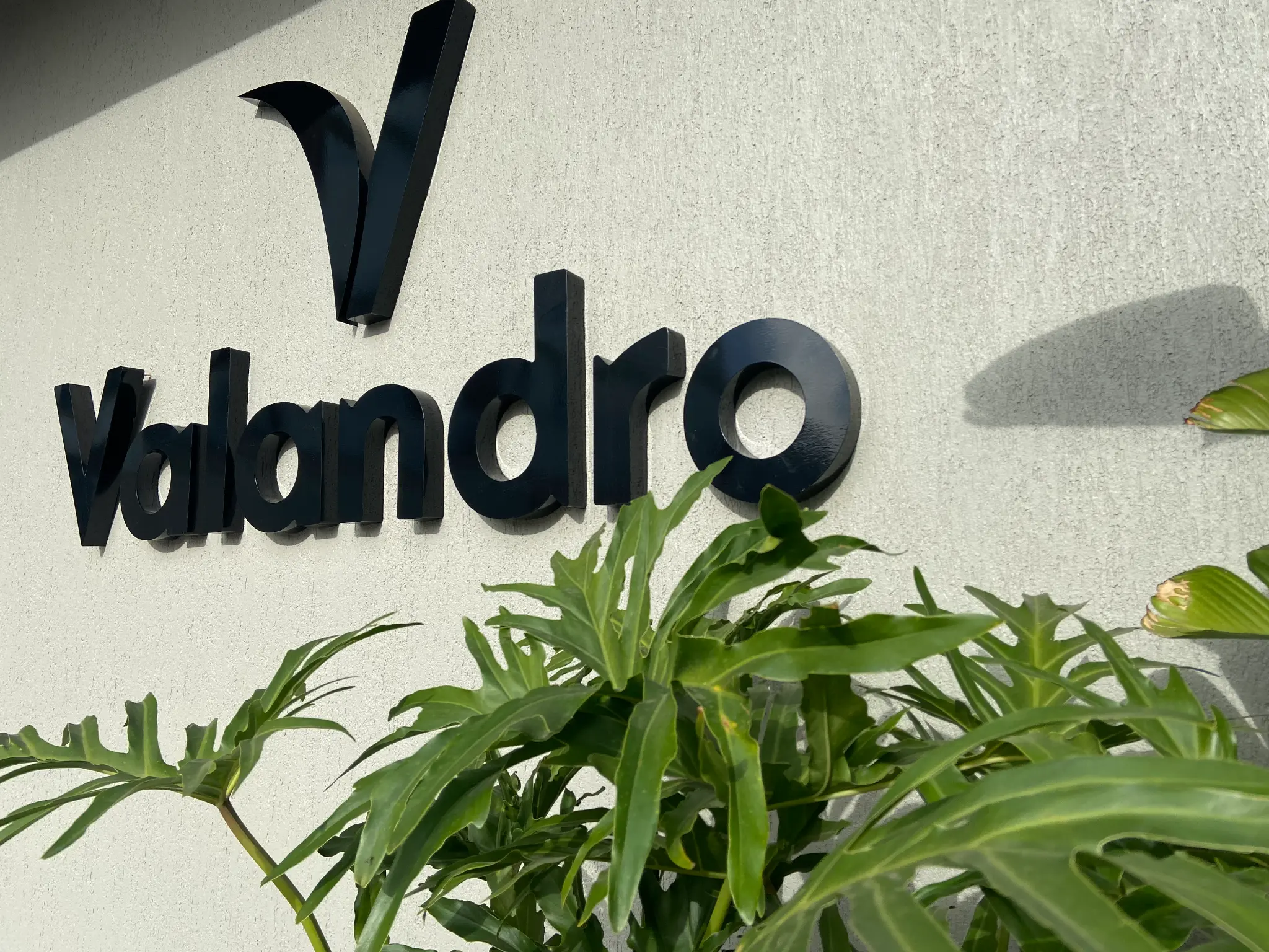 Gestão Valandro